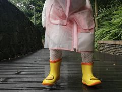 -都江堰中华大熊猫苑