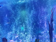 -沈阳海洋探索中心