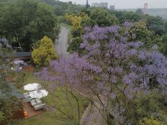 -张坝桂圆林公园