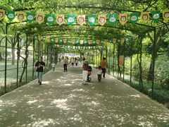 -无锡动物园·太湖欢乐园