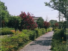 -桤木河湿地公园