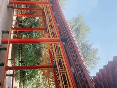 -青城公园