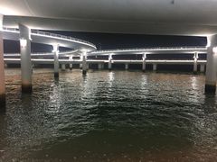 -演武大桥观景平台