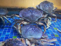 -乾隆美食·本帮菜(黄河路店)