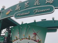 -荷兰花海