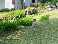 -采石矶景区