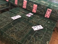 -荔城生鲜盛宴(番禺旗舰店)