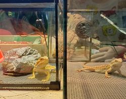 -酷嗒动物文化乐园(cutezoo西溪乐天城店)