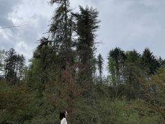 -硗碛藏寨·神木垒景区