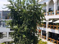 -漆黑觉米粉(三里屯店)