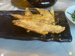 -食家鸽园