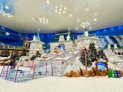 -长沙湘江冰雪世界