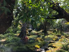 -Chom Cafe and Restaurant