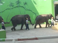 -大连森林动物园