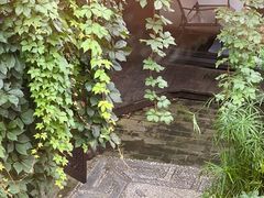 -慢丽江·云南野生菌土鸡锅(西山店)