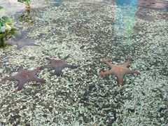 -珠海长隆海洋王国