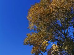 -长春公园(普阳街道)