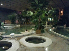 android_upload_pic-汤印温泉假日酒店