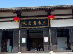 -大唐贡茶院