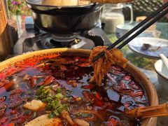 -青城甲(青城山店)