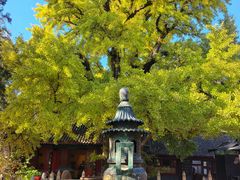 -红螺寺