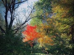 -长春市南湖公园