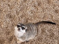 -海合安武汉极地海洋公园