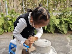 -前小桔亲子创意农场·草莓采摘·露营烧烤