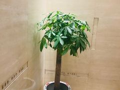 -知味观(湖滨总店)