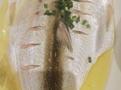 清蒸白鱼-锡和无锡菜(景丽苑店)