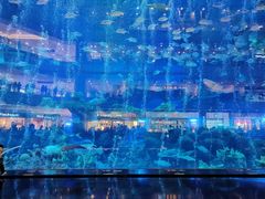 -成都浩海立方海洋公园