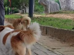 -雨花胜境
