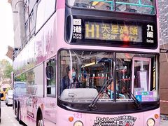-Big Bus Tours 敞篷观光巴士