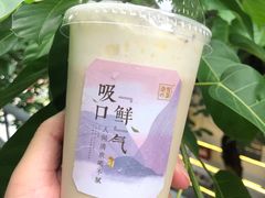 清欢乌龙宝藏茶-奈雪的茶(星河城店)