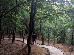 -火炉山森林公园
