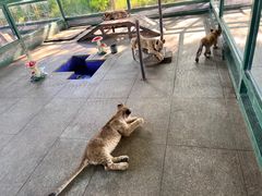 -秦皇岛野生动物园
