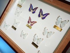 -上海昆虫博物馆