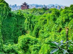 -城隍阁