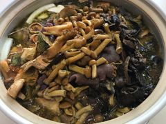 -爱膳菌锅锅(阳南店)