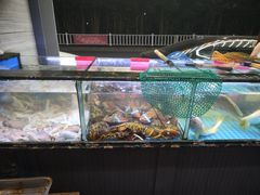 -金海湾海鲜排档(朱家尖店)