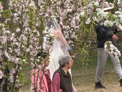 -元大都城垣遗址公园