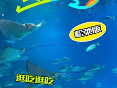 -烟台海昌鲸鲨海洋公园