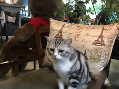 -咖法森林·咖啡  酒吧(天河店)