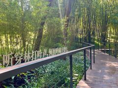 -云溪植物园
