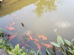 -乌石村