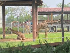 -石家庄市动物园