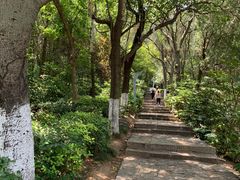 -云龙山