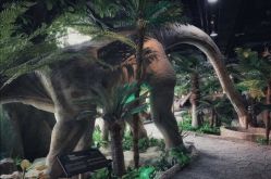 -恐龙探索乐园(磁器口店)