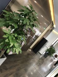 -崇尚GAVIN STYLE臻选