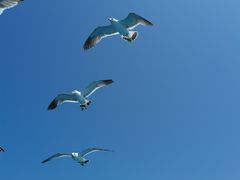 -海驴岛(荣成市)